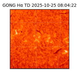 gong - 2025-10-25T08:04:22