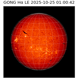 gong - 2025-10-25T01:00:42