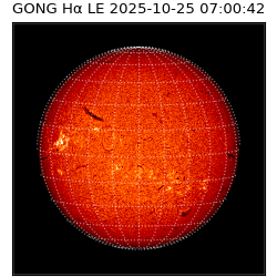 gong - 2025-10-25T07:00:42