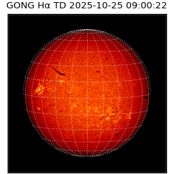 gong - 2025-10-25T09:00:22