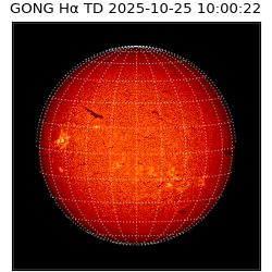 gong - 2025-10-25T10:00:22