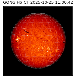 gong - 2025-10-25T11:00:42