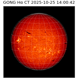 gong - 2025-10-25T14:00:42