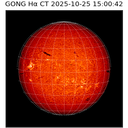 gong - 2025-10-25T15:00:42