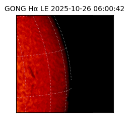 gong - 2025-10-26T06:00:42
