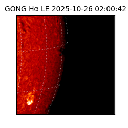 gong - 2025-10-26T02:00:42