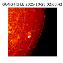 gong - 2025-10-26T02:00:42