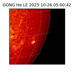 gong - 2025-10-26T05:00:42
