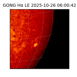 gong - 2025-10-26T06:00:42