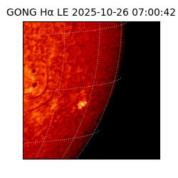 gong - 2025-10-26T07:00:42