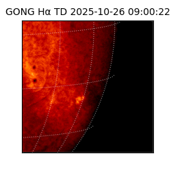 gong - 2025-10-26T09:00:22