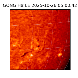 gong - 2025-10-26T05:00:42