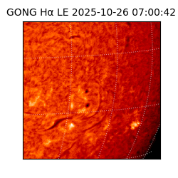 gong - 2025-10-26T07:00:42