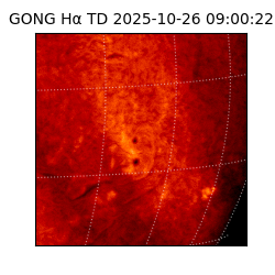 gong - 2025-10-26T09:00:22