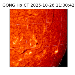 gong - 2025-10-26T11:00:42