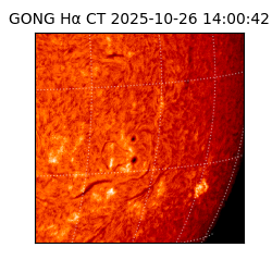 gong - 2025-10-26T14:00:42