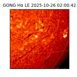 gong - 2025-10-26T02:00:42