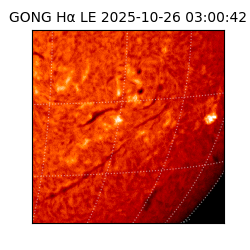 gong - 2025-10-26T03:00:42