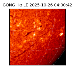gong - 2025-10-26T04:00:42