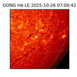 gong - 2025-10-26T07:00:42