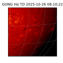 gong - 2025-10-26T08:10:22