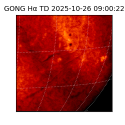 gong - 2025-10-26T09:00:22
