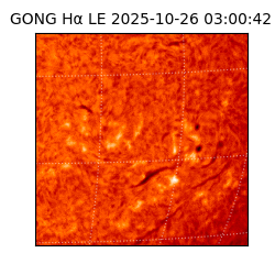 gong - 2025-10-26T03:00:42