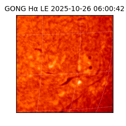 gong - 2025-10-26T06:00:42