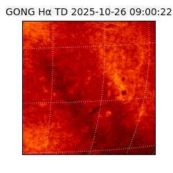 gong - 2025-10-26T09:00:22