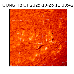 gong - 2025-10-26T11:00:42