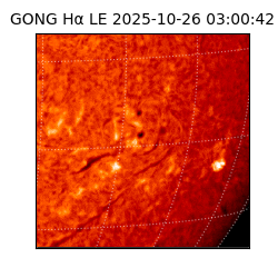 gong - 2025-10-26T03:00:42