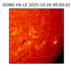 gong - 2025-10-26T06:00:42