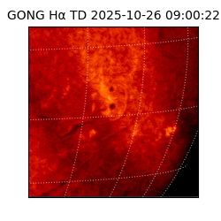 gong - 2025-10-26T09:00:22