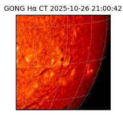 gong - 2025-10-26T21:00:42