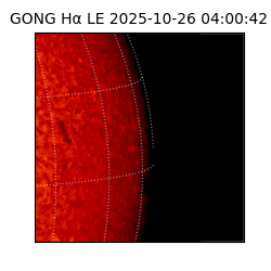 gong - 2025-10-26T04:00:42