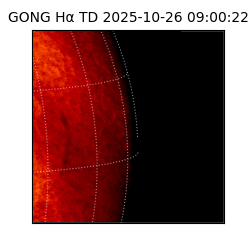 gong - 2025-10-26T09:00:22