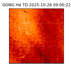 gong - 2025-10-26T09:00:22