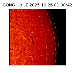 gong - 2025-10-26T01:00:42