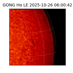 gong - 2025-10-26T06:00:42
