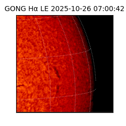 gong - 2025-10-26T07:00:42