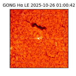 gong - 2025-10-26T01:00:42