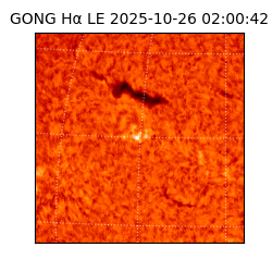 gong - 2025-10-26T02:00:42