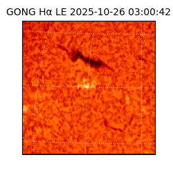 gong - 2025-10-26T03:00:42