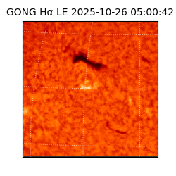 gong - 2025-10-26T05:00:42