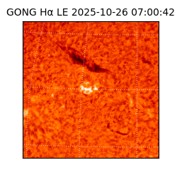 gong - 2025-10-26T07:00:42