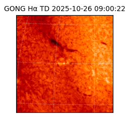 gong - 2025-10-26T09:00:22