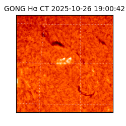 gong - 2025-10-26T19:00:42