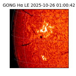 gong - 2025-10-26T01:00:42