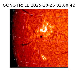 gong - 2025-10-26T02:00:42