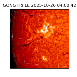 gong - 2025-10-26T04:00:42